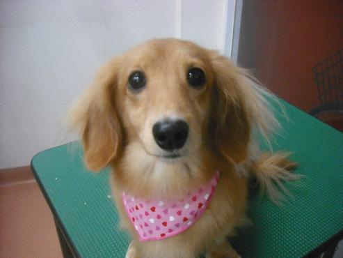 ファイル 2034-1.jpg