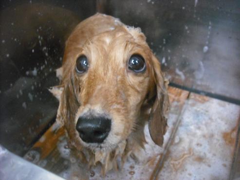 ファイル 2034-2.jpg