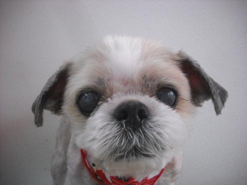 ファイル 2035-1.jpg