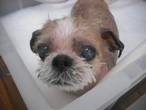 ファイル 2035-2.jpg