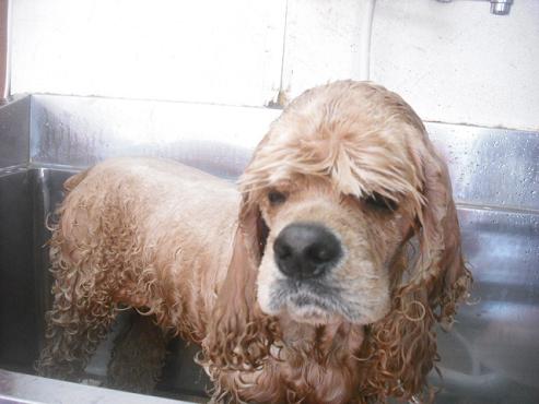 ファイル 2037-2.jpg