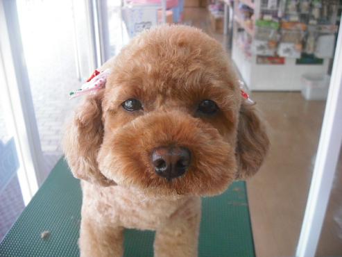 ファイル 204-1.jpg