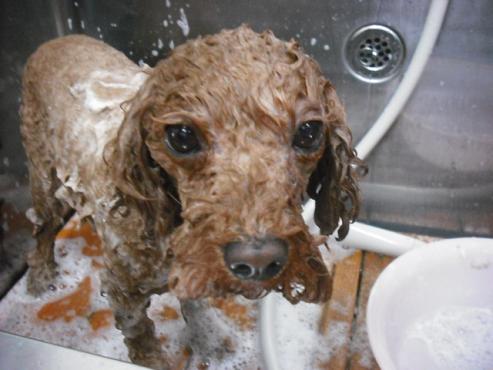 ファイル 204-2.jpg