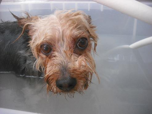 ファイル 2040-2.jpg