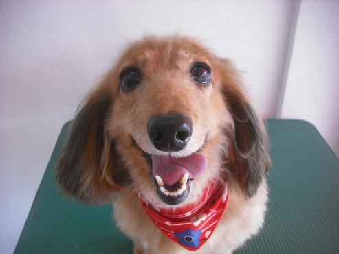 ファイル 2041-1.jpg