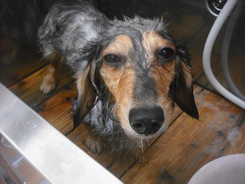 ファイル 2044-2.jpg