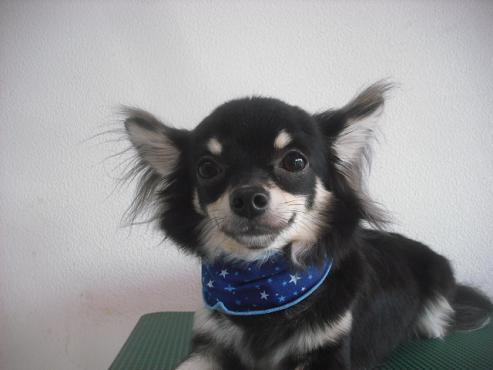 ファイル 2045-2.jpg