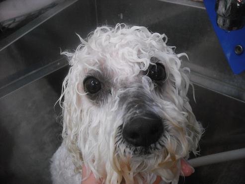 ファイル 2048-2.jpg