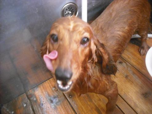 ファイル 2049-2.jpg