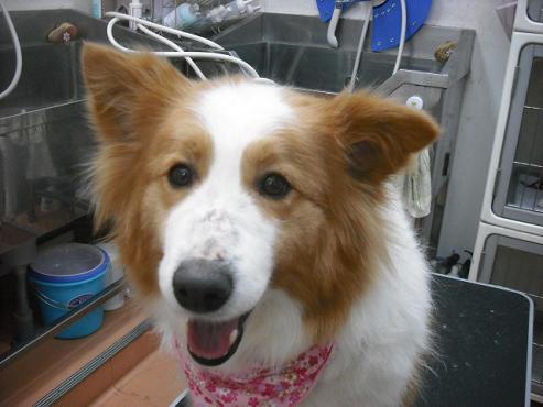 ファイル 205-1.jpg