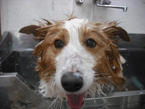 ファイル 205-2.jpg