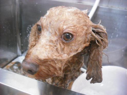 ファイル 2050-3.jpg