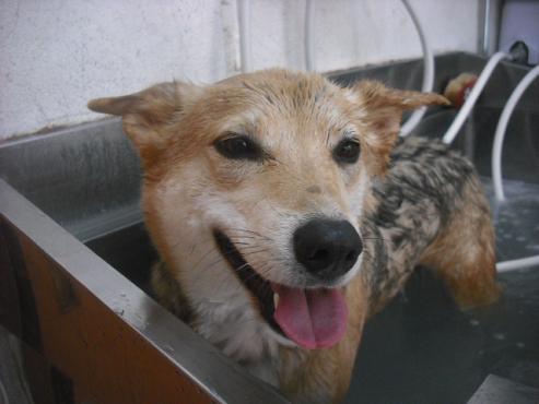 ファイル 2051-2.jpg