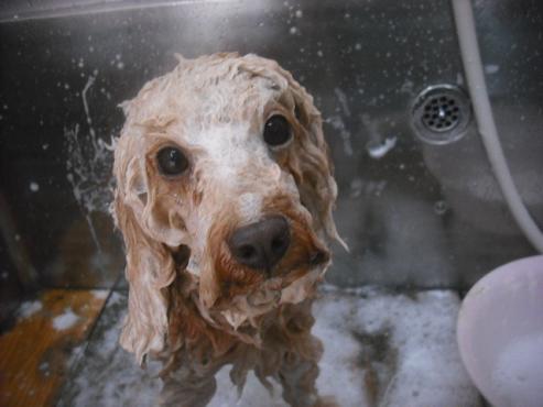 ファイル 2052-3.jpg