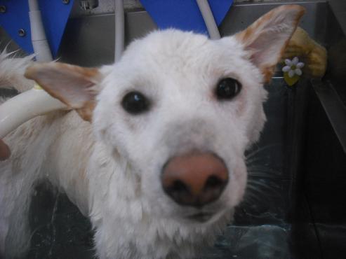 ファイル 2057-2.jpg