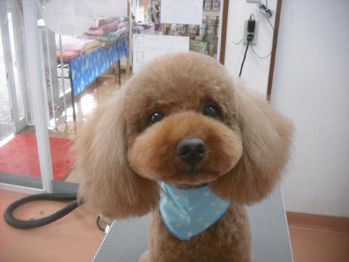 ファイル 2058-1.jpg