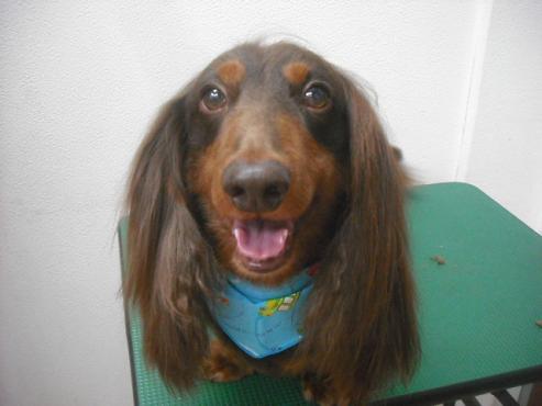 ファイル 2059-1.jpg