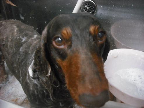 ファイル 2059-2.jpg