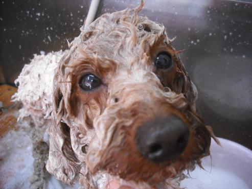 ファイル 206-2.jpg