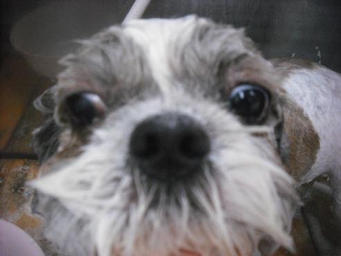 ファイル 2060-2.jpg