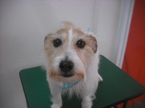 ファイル 2061-1.jpg