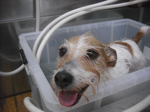 ファイル 2061-2.jpg