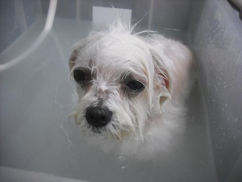 ファイル 2062-3.jpg