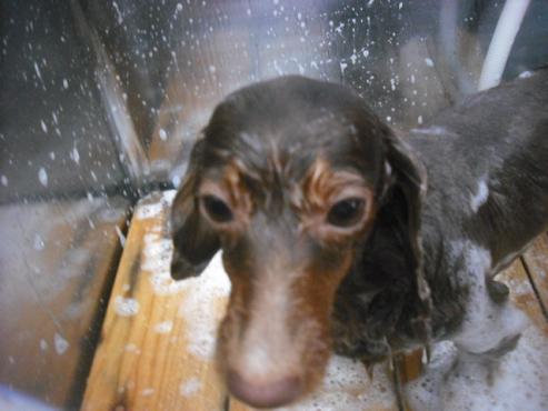 ファイル 2064-2.jpg