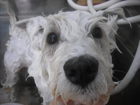 ファイル 2069-2.jpg