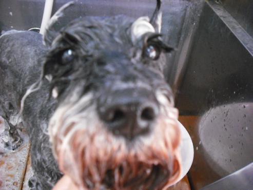 ファイル 207-2.jpg