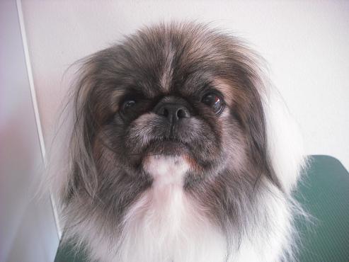 ファイル 2070-1.jpg