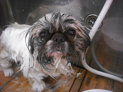 ファイル 2070-2.jpg