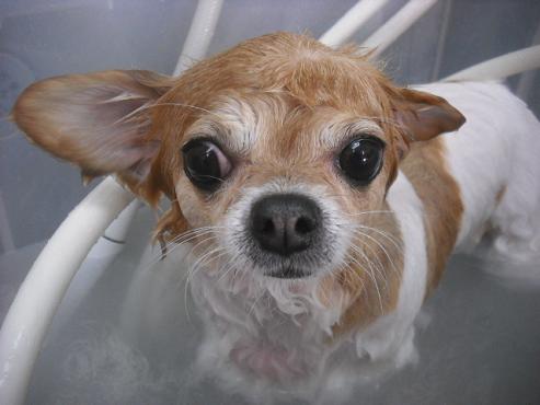 ファイル 2071-2.jpg