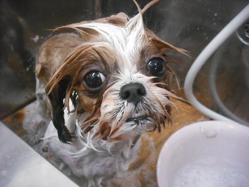 ファイル 2073-2.jpg