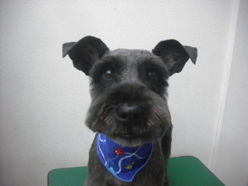 ファイル 2074-1.jpg