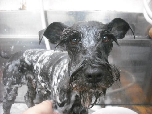 ファイル 2074-2.jpg