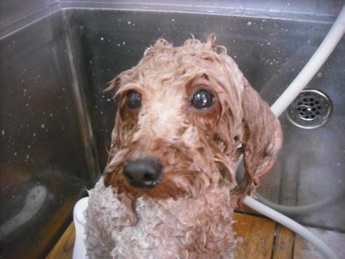 ファイル 2076-3.jpg