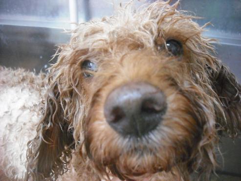 ファイル 2077-3.jpg