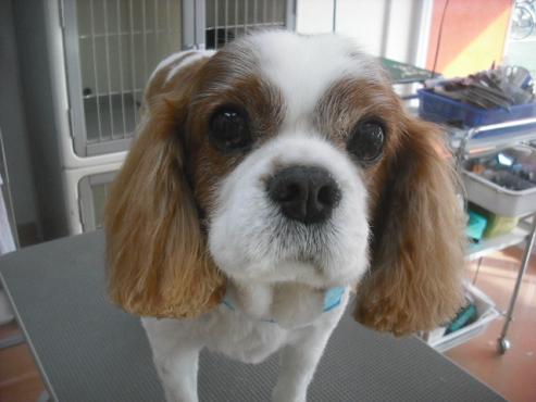 ファイル 2078-1.jpg