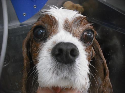 ファイル 2078-3.jpg