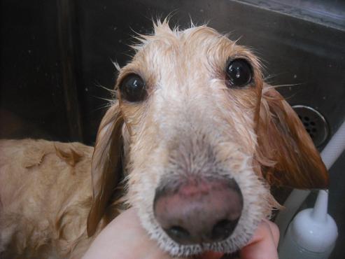 ファイル 2079-3.jpg