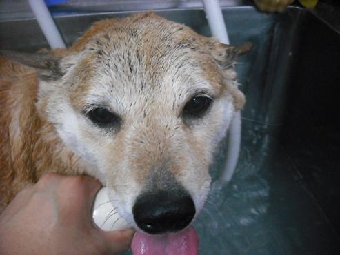 ファイル 208-2.jpg