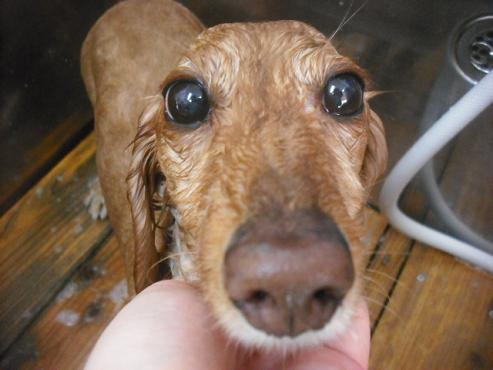 ファイル 2080-3.jpg