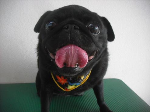 ファイル 2081-1.jpg