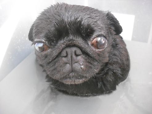 ファイル 2081-3.jpg