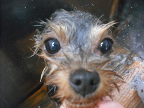 ファイル 2082-3.jpg