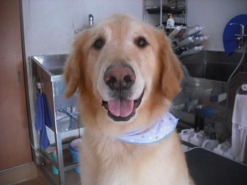 ファイル 2083-1.jpg