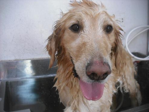 ファイル 2083-3.jpg