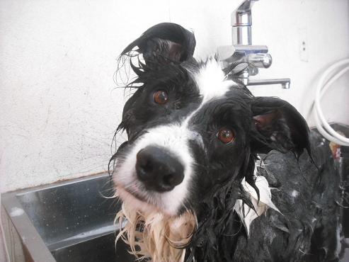 ファイル 2084-3.jpg