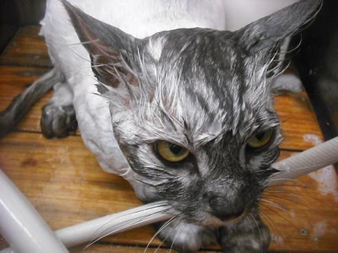 ファイル 2085-3.jpg